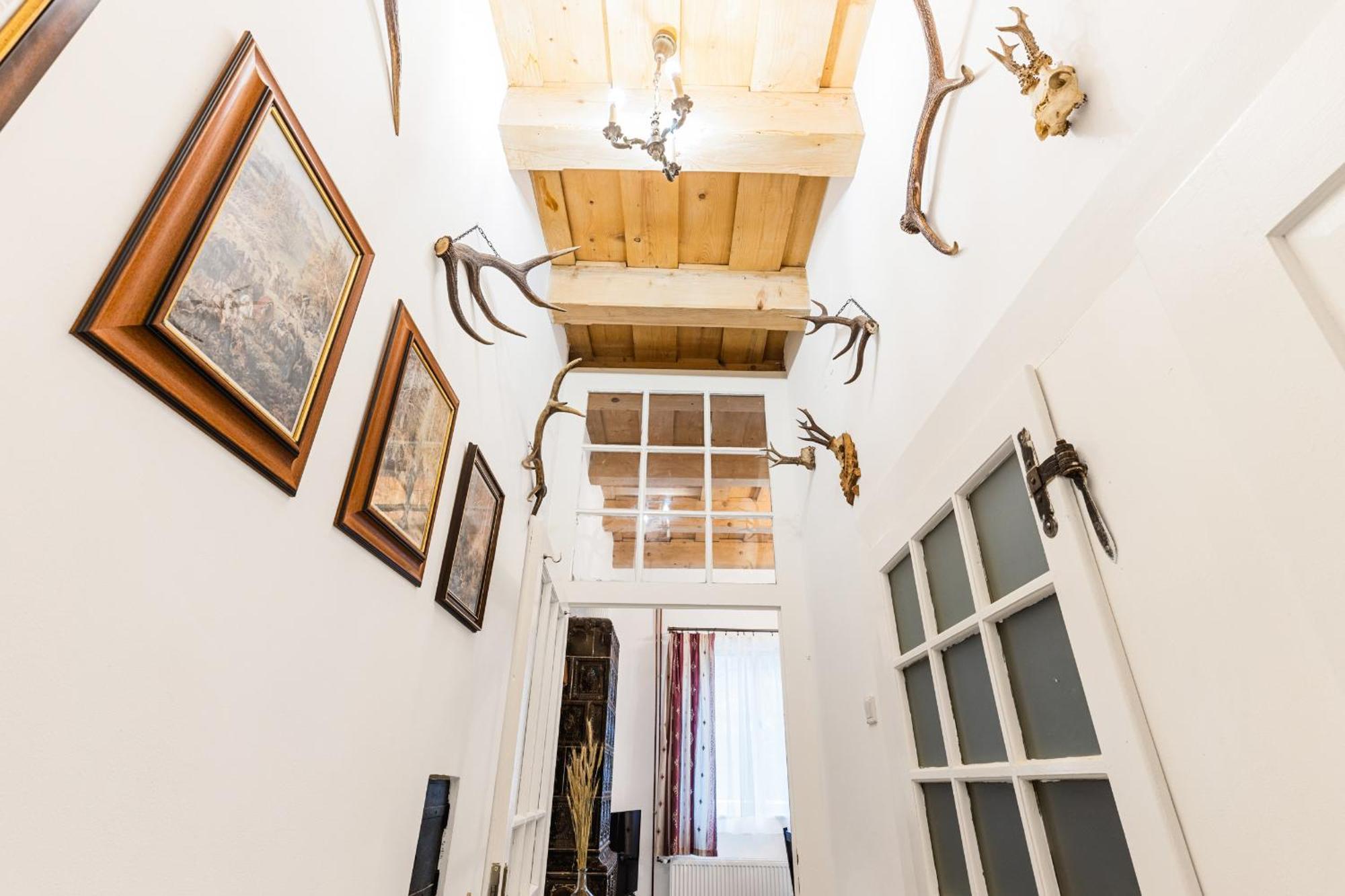 Sovi Dom- Historicke Apartmany Z 19 Storocia, 4Km Od Banskej Stiavnice Svätý Anton エクステリア 写真